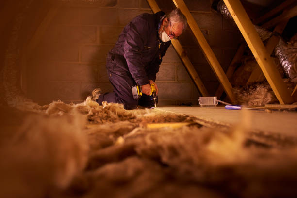 Best Types of Insulation in Mounds View, MN